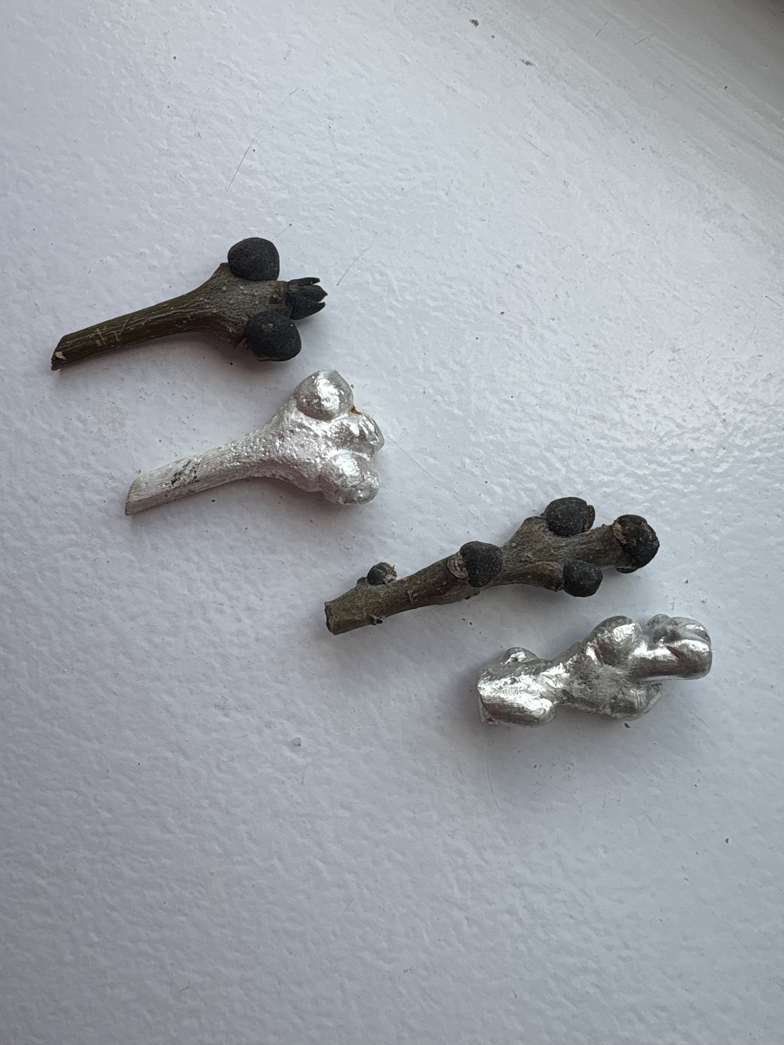 Remains 6
